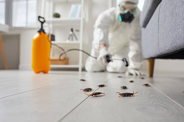 Commercial Kitchen Cockroach Control in Marsing